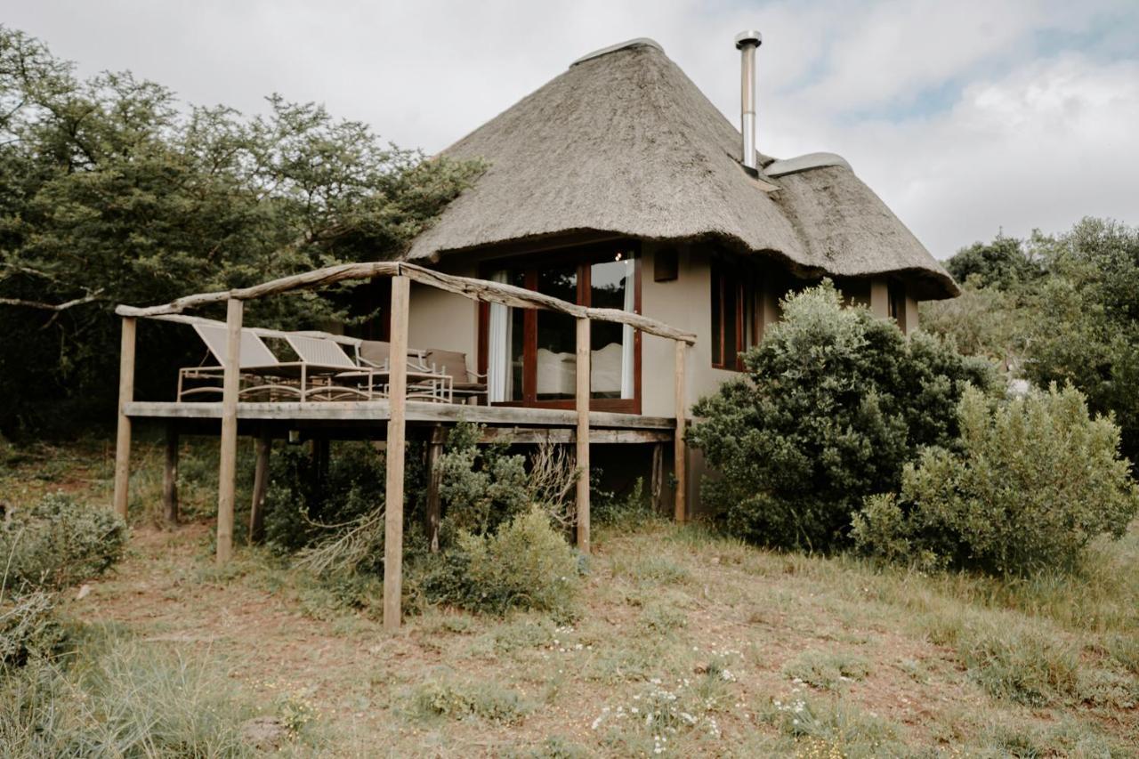 Bukela Game Lodge - Amakhala Game Reserve Exteriér fotografie