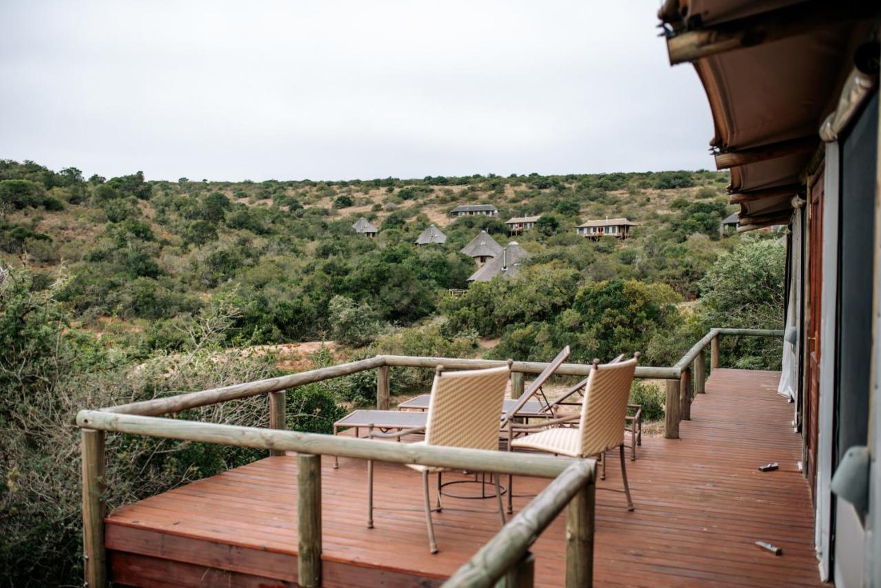 Bukela Game Lodge - Amakhala Game Reserve Exteriér fotografie